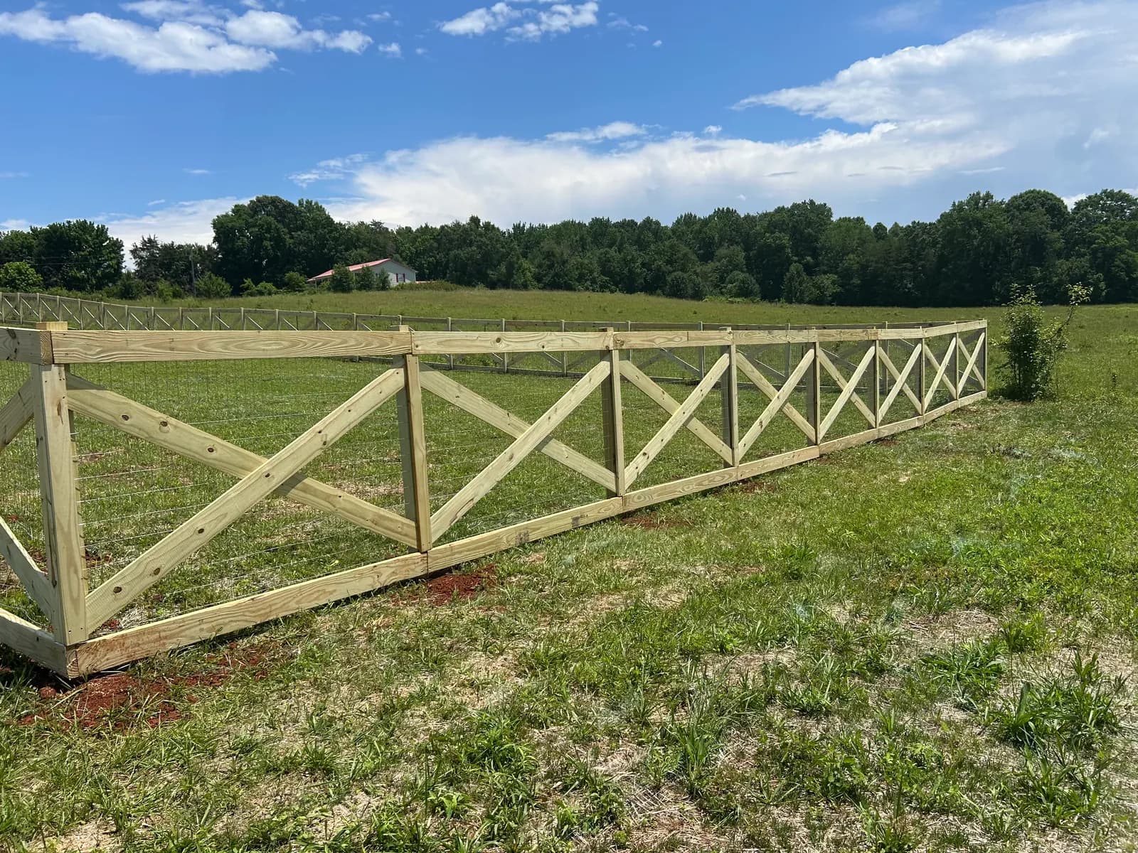 Wood crossbuck fence with wire mesh running across an open pasture.