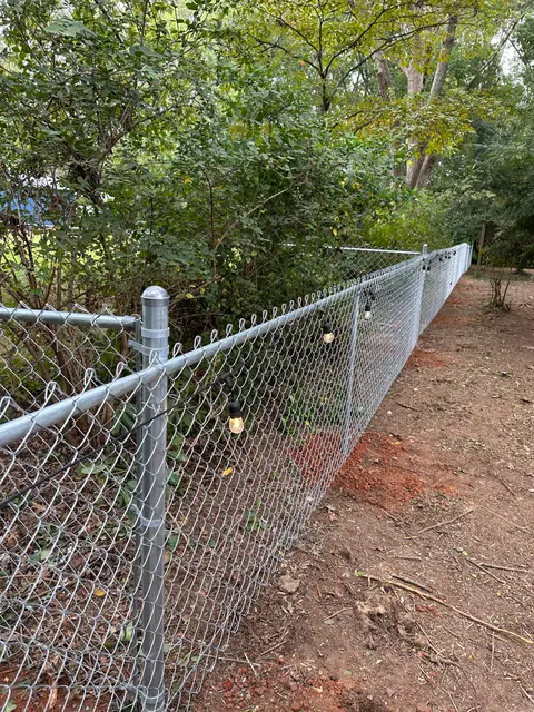 Galvanized chain link fence with a top rail along a wooded backyard.