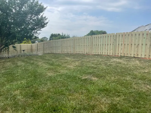 Shadowbox wood fence enclosing a large backyard.